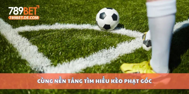 Cách Soi Kèo Phạt Góc Hiệu Quả, Mẹo Chơi Từ Chuyên Gia 2 Cùng nền tảng tìm hiểu kèo phạt góc