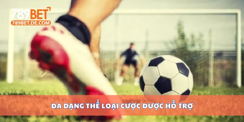 Đa dạng thể loại cược được hỗ trợ