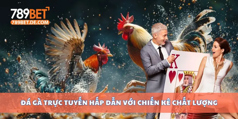 Đá gà trực tuyến hấp dẫn với chiến kê chất lượng