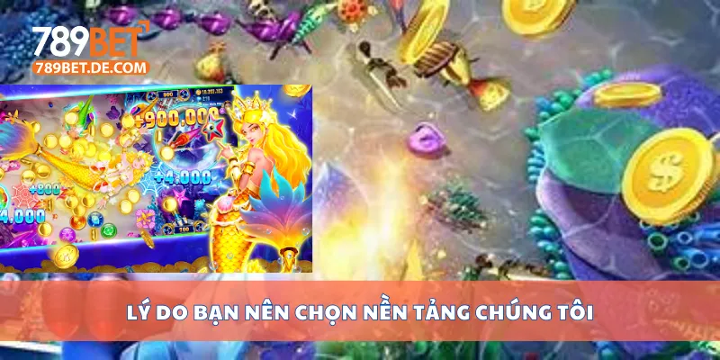 Lý do bạn nên chọn nền tảng chúng tôi